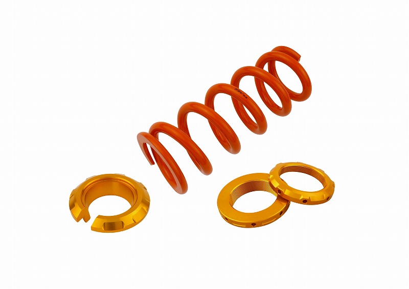 ルミナスLEDテールランプユニット Z900RS用 - （テールランプ