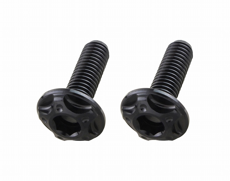 補修用スクリーンボルト<br/>M5x20mm(2pcs) - （メンテナンス