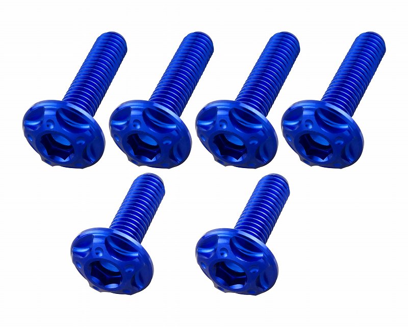 スクリーンボルトセット<br/>M5x16mm(2pcs) M5x20mm(4pcs