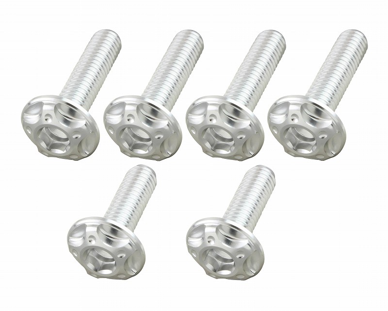 スクリーンボルトセット<br/>M5x16mm(2pcs) M5x20mm(4pcs)