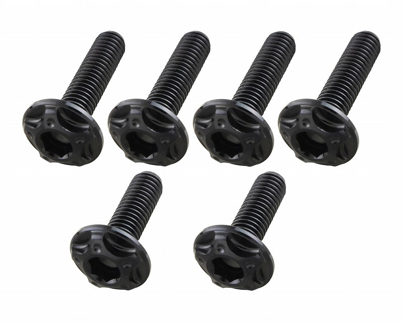 スクリーンボルトセット<br/>M5x16mm(2pcs) M5x20mm(4pcs