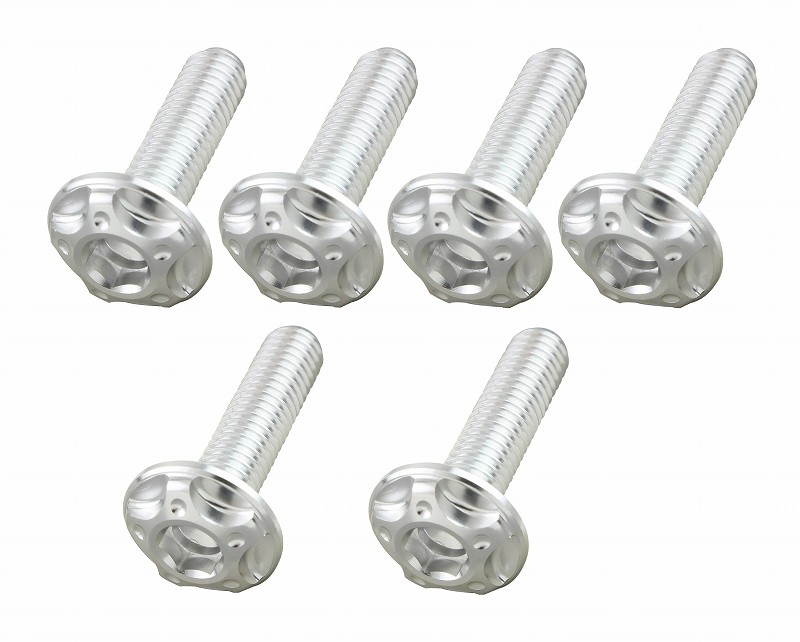 スクリーンボルトセット<br/>M5x18mm(4pcs) M5x20mm(2pcs)